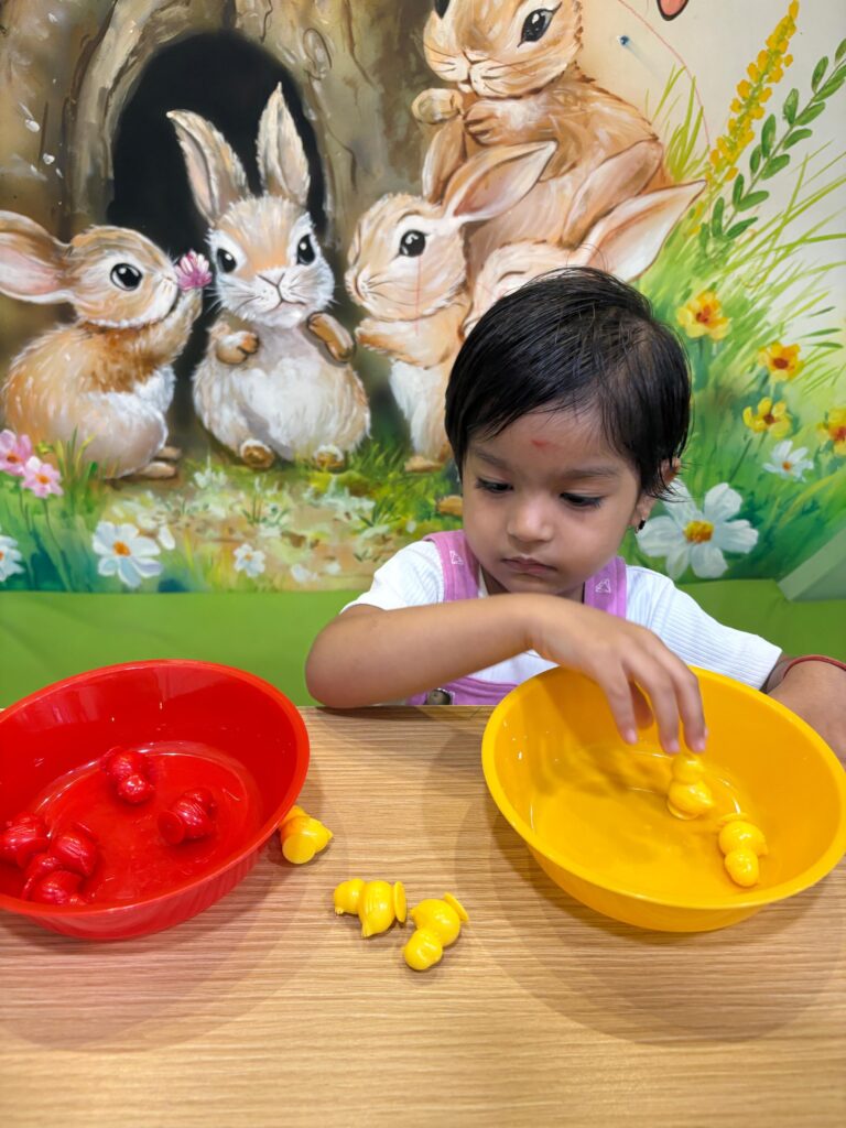 Preschool Learning Through Color Sorting